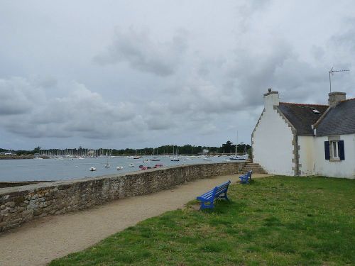 Ile-tudy1