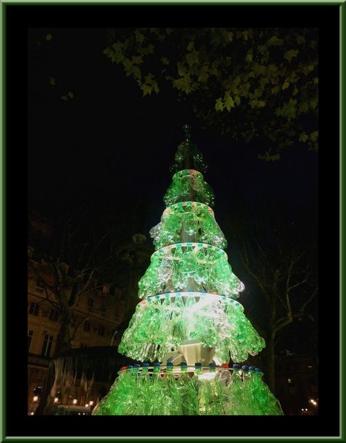 Sapin-bouteilles