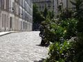 Rue