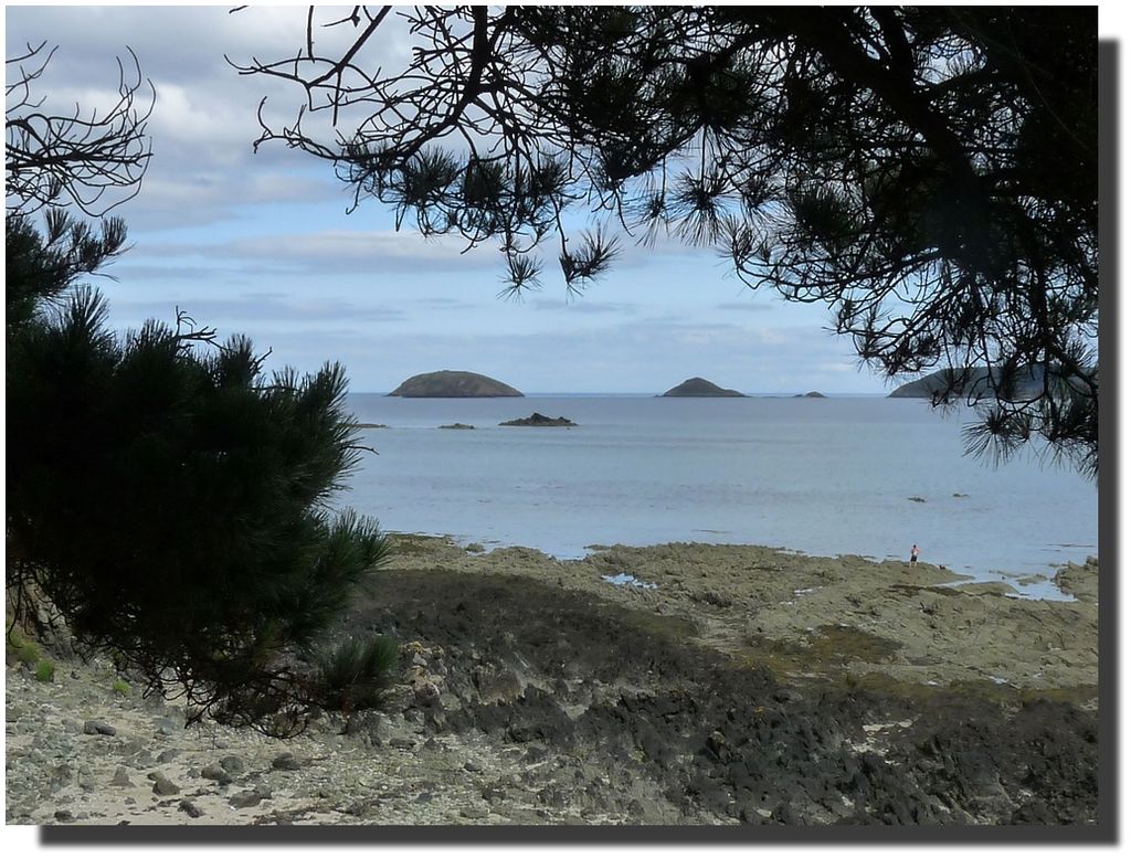 Si vous voulez aller sur la mer sans risque de chavirer, n'achetez pas un bateau, achetez un île (Pagnol)