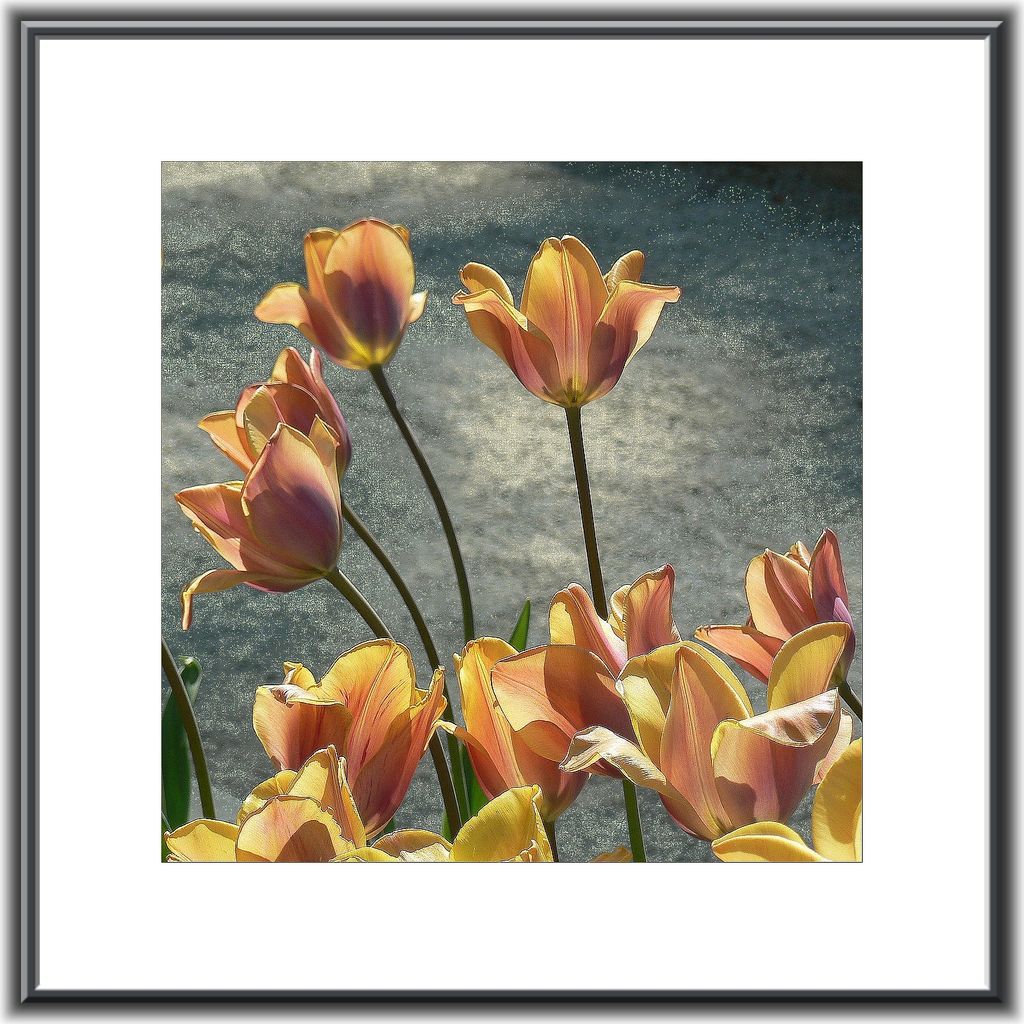 Tableau tulipes